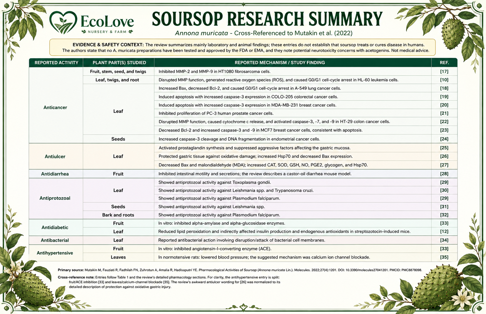 Soursop research summary chart cross-referencing studied pharmacological activities of Annona muricata, with an evidence and safety disclaimer
